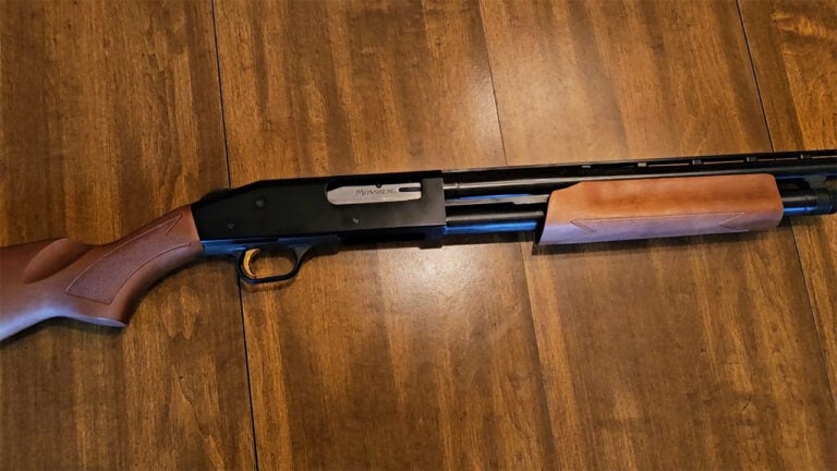 The 20 Shotguns That Are Beautiful in the Catalog and Disappointing the Moment You Hunt With Them