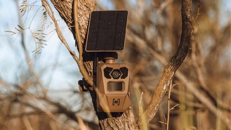 Best Cellular Trail Cameras for Deer Season (2026)