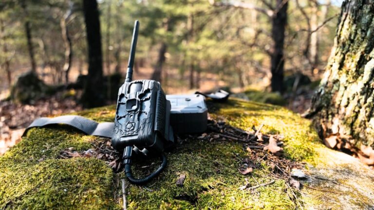 Spypoint Flex-M2 vs Stealth Cam Deceptor Max 3.0: The Under-$120 Cell Cam Fight