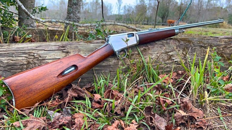 20 Guns That Are Worth Far More Than What Their Owners Paid