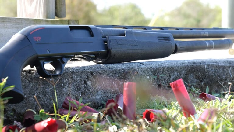 The Best Hunting Shotguns That Aren’t What Every Sporting Goods Store Pushes