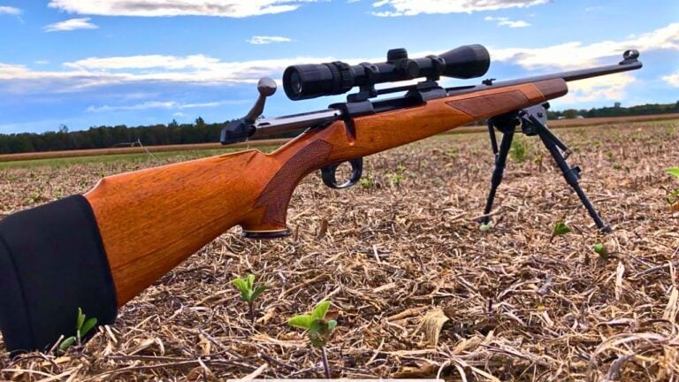 Hunting Rifles That Prove You Don’t Have to Spend a Fortune