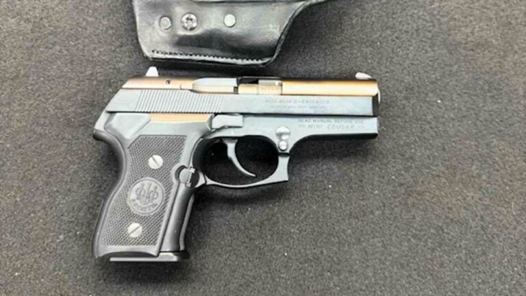 Pistols That Strike the Best Balance Between Carrying and Shooting