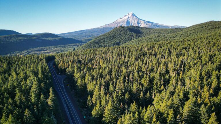 The 20 States That Are Quietly Losing Their Best Hunting Land to Development Faster Than Anyone Admits
