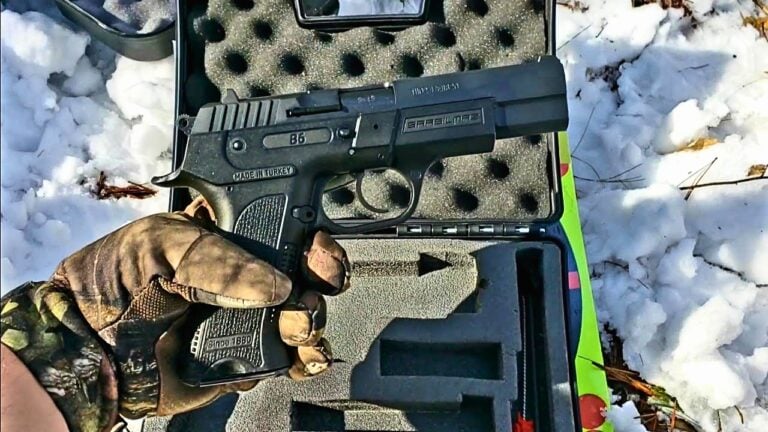 Handguns That Make Expensive Pistols Hard to Justify