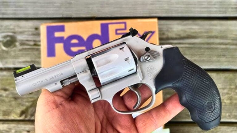 The Revolvers That Experienced Shooters Love Except for the Single Reason They Don’t Carry Them