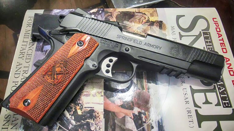 The Handguns That Armed Professionals Carry When Nobody Is Checking What They Carry