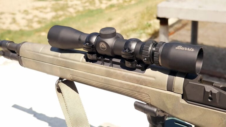 Rifles That Were Overlooked in Production and Are Now Exactly What Experienced Buyers Want