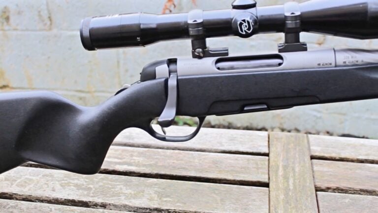Rifles That Were Overshadowed by Newer Guns for No Good Reason