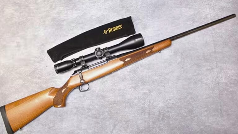 Deer Rifles That Make Expensive Upgrades Feel Unnecessary