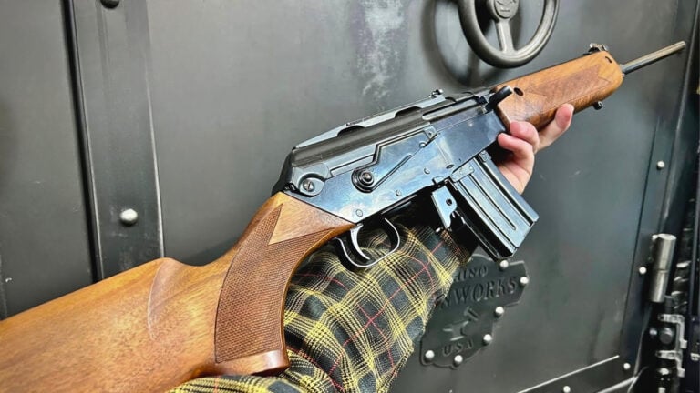 Semi-Auto Rifles That Deserved a Bigger Following