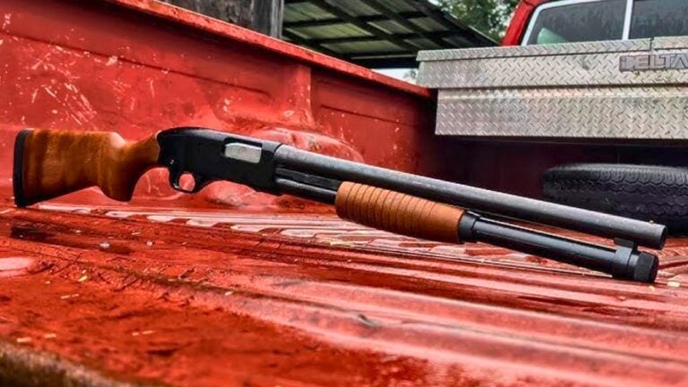 The Shotguns That Were in Every Rural Household for Fifty Years Before the Market Noticed Them